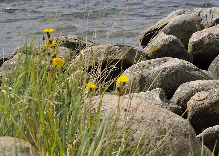 شقة Ostsee App. 6111